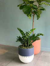 Nautical themed bohemian planter in office