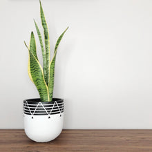 NETTE POT | PLANTER