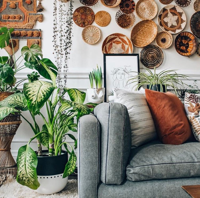 black and white spotted planter pot with large dieffenbachia placed on floor beside couch with a basket wall gallery