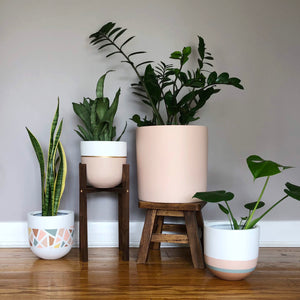 group of indoor plant pots with walnut plant stands and stool