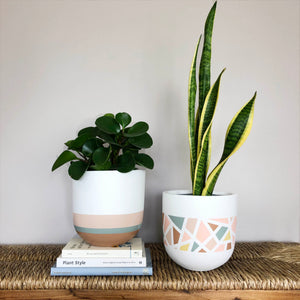 TERRAZZO POT | PLANTER