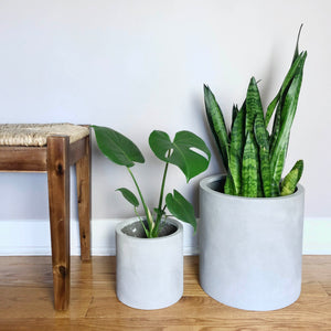 NATURAL CYLINDER | PLANTER