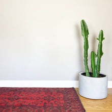 NATURAL LOW CYLINDER | PLANTER
