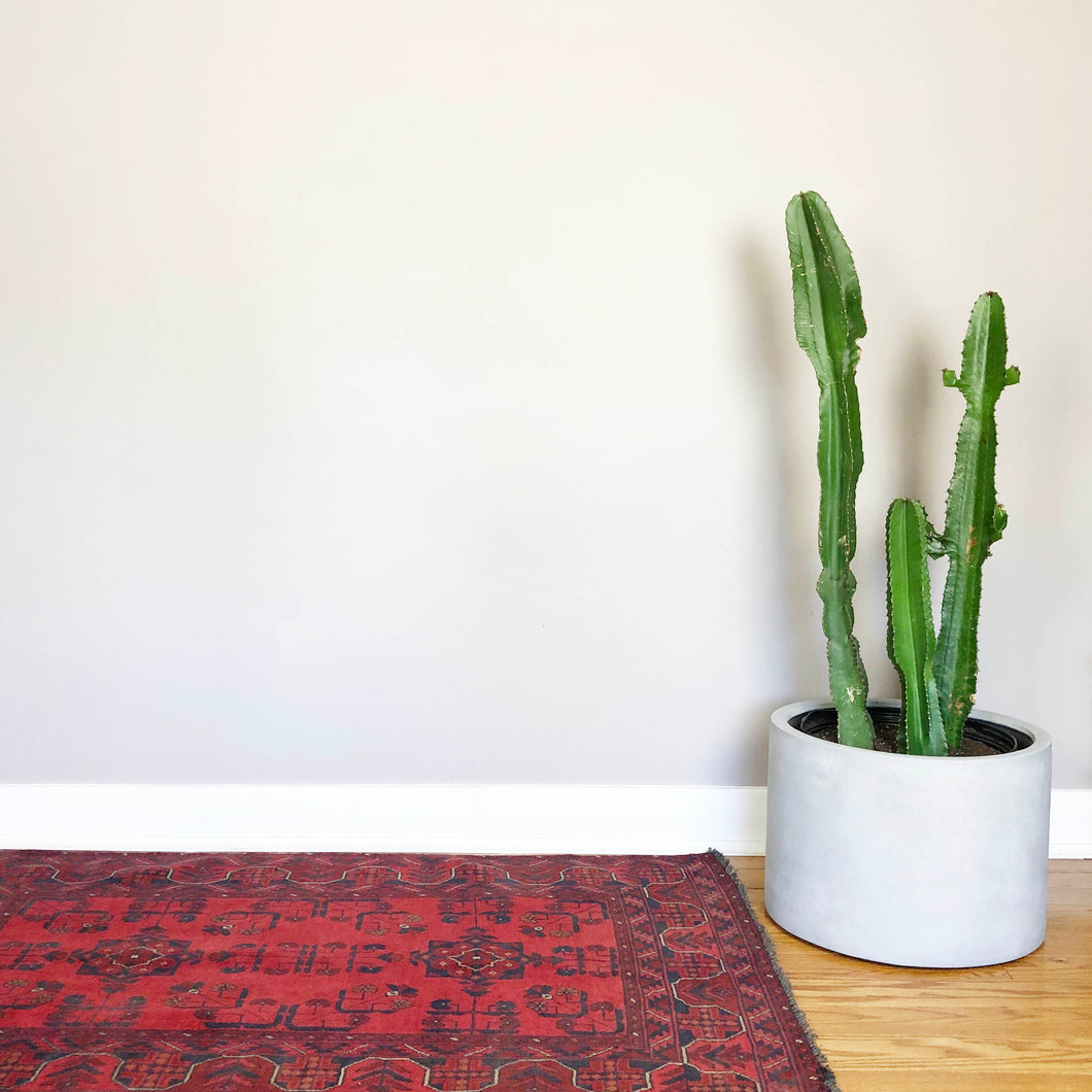 NATURAL LOW CYLINDER | PLANTER
