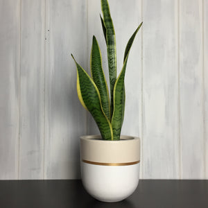 Decorative hand painted planter for indoors and outdoors. Fibrestone planters are lightweight and modern and the perfect plant pot for an aesthetic look.