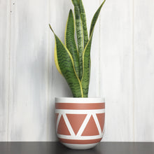 white and terracotta hand painted plant pot with tall snake plant