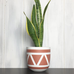 white and terracotta hand painted plant pot with tall snake plant