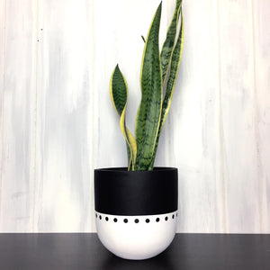Monochrome boho planter pot with snake plant on shelf 