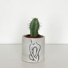 FORGOTTEN PROPERTY CONCRETE POT | PLANTER