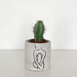 FORGOTTEN PROPERTY CONCRETE POT | PLANTER