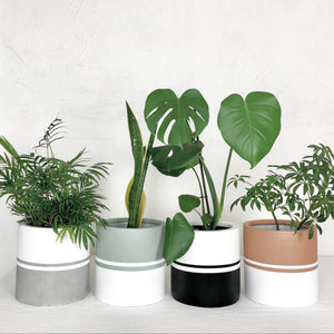 REFLECTION CYLINDER POT | PLANTER