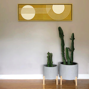 LOW CYLINDER PLANT POT STANDS by KELLY BUILT