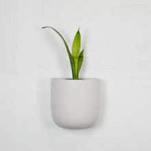 wall planter pot in a mushroom colour