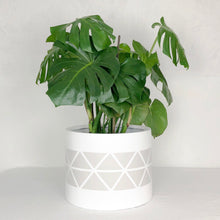 cylinder planter with subtle pattern showcasing monstera plant. DECORATIVE PLANTER FOR LARGE FLOOR PLANTS.