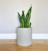 NATURAL CYLINDER | PLANTER