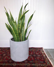 NATURAL CYLINDER | PLANTER