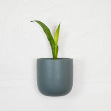 pine green tall wall planter with snake plant