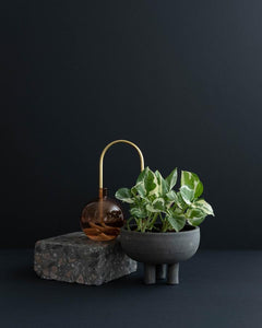 SELF WATERING PLANTSTRAWS