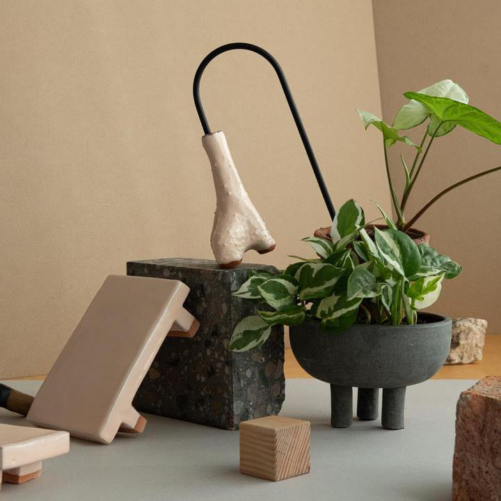 SELF WATERING PLANTSTRAWS