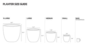 NATURAL POT | PLANTER