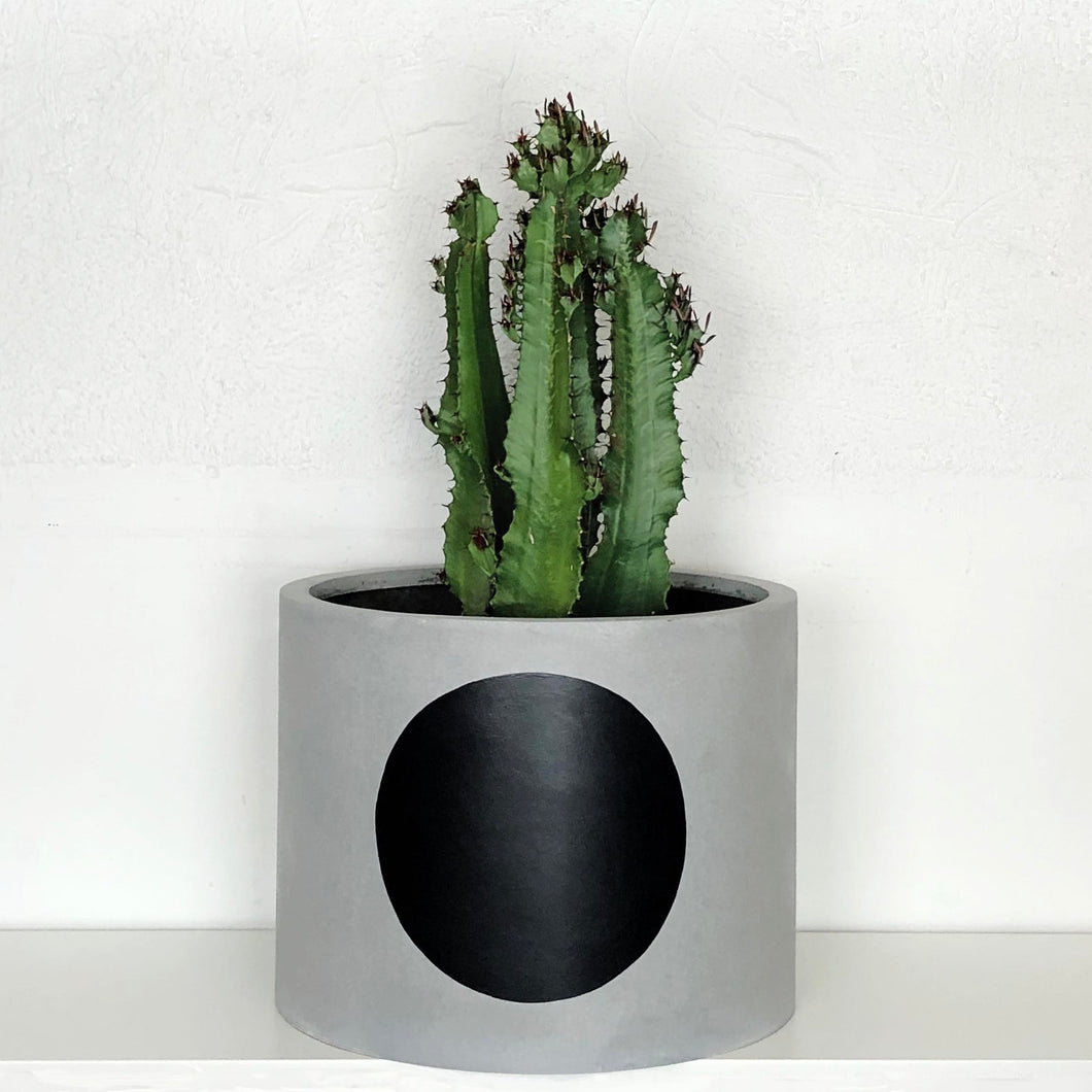 cement flower pot with black circle and cowboy cactus plant