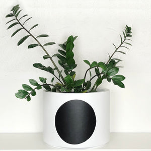 White Cylindrical Planter with black sphere design