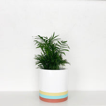 SADIE CYLINDER POT | PLANTER