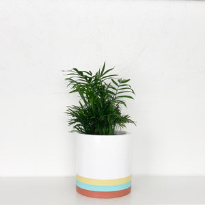SADIE CYLINDER POT | PLANTER