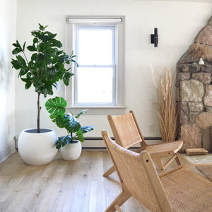 set of large sphere bowl planter placed on floor in corner of home.  Two Serbi rattan and teak wood chairs are placed to the left of a stone mantel.  A tall window lets in a lot of light.