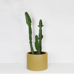 LOW CYLINDER POT | PLANTER