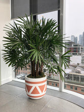 aztec design planter pot in modern office building with large palm tree and glass walls