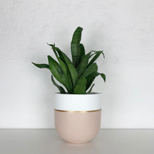 GALA POT | PLANTER