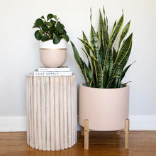 LOW CYLINDER POT | PLANTER