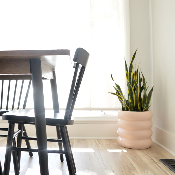 Four cane side chairs placed around a round marble table.  A rattan hanging pendant hangs above table.  An H&M donut vase is placed on centre of table with natural dried palm leaves.  A cream coloured, tiered, ring stacked planter pot sits in the corner holding a fiddle leaf fig plant.  Warm sunlight fills the room from the left side. Plants are powerful.