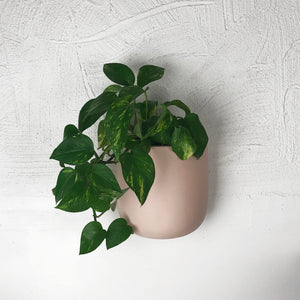 blush pink tall wall pot with greenery