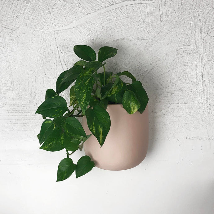 wall planter pot in a mushroom colour