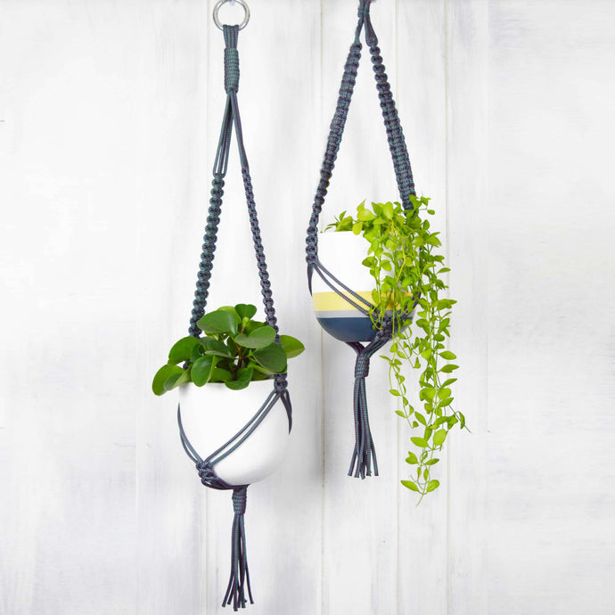 two Common House Studio hand painted planters in grey nylon plant hangers with trailing plants