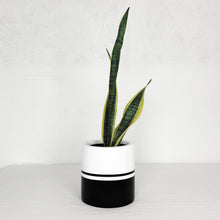 REFLECTION CYLINDER POT | PLANTER