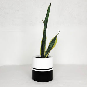 REFLECTION CYLINDER POT | PLANTER