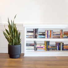 white bookcase with colourful book spines.  A black planter sits on the floor on the side of the bookcase with a tall plant. Minimalist plant pot perfect for new and mature plants and florals. Indoor and outdoor plant pot.  