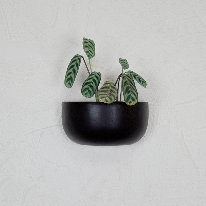 SOLID SHORT WALL PLANTER | POT