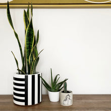 Hand painted stripe design plant pot for indoor and outdoor use. Modern and lightweight planter perfect for indoor trees, outdoor plants or starters.
