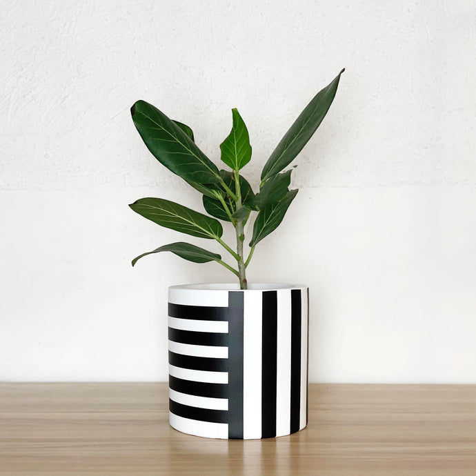 Indoor and outdoor modern planters for aesthetic home plant decor. Decorate your front porch, pool patio or leave indoors for a boho look.