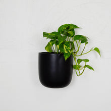 matte black wall planter on white wall