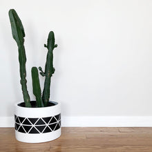 black hexagonal hand painted pattern on middle of a cylinder with a large Euphorbia ingens/cowboy cactus