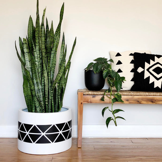black triangle pattern on cylindrical planter placed next to a rustic bench with modern pillows