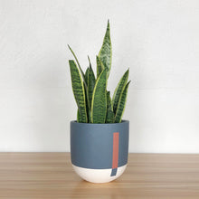A round, fiberstone planter with a charcoal blue color topped with a white band and a hint of a red stripe at the bottom. It is displayed with a green plant inside it, placed on a wooden surface against a white wall.