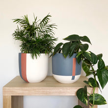complimentary colours used across two three toned planters with tropical houseplants