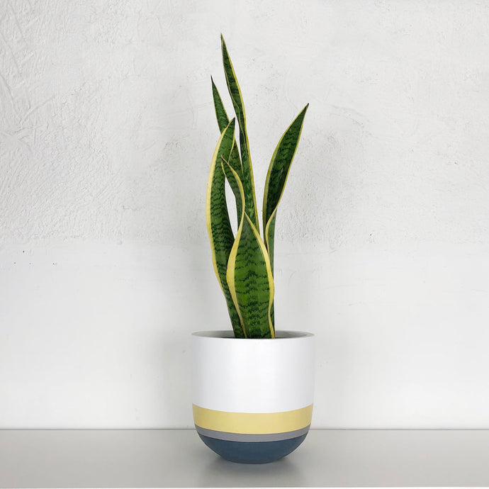 OVERLAY POT | PLANTER