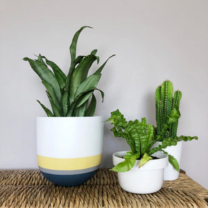 OVERLAY POT | PLANTER